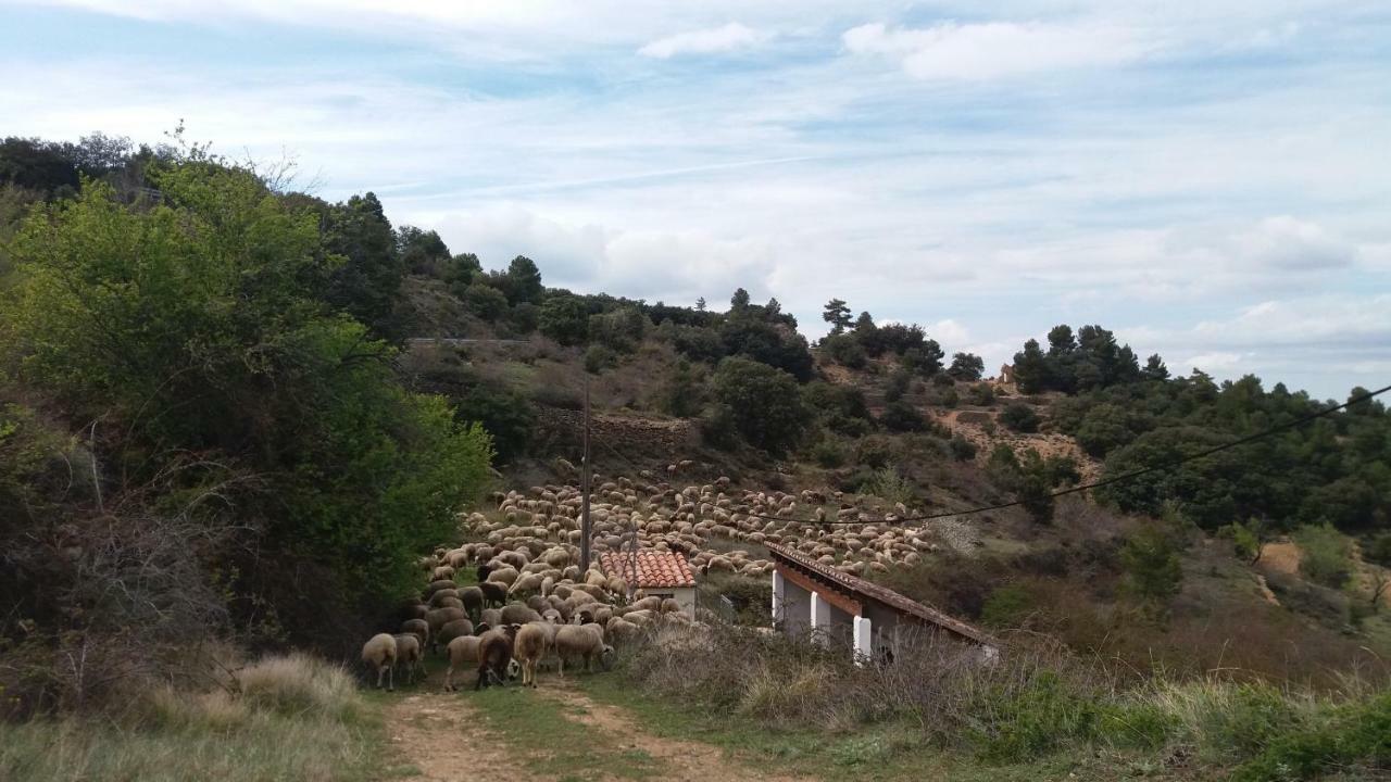Casa Rita Villa Morella Exterior photo